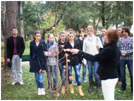 Prva generacije Srednje muzičke škole u parku zasadila drvo generacije